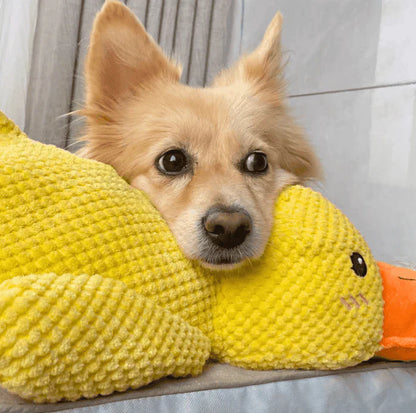 Vivahine® Calming Duck Toy （🔥Last Day sale-70%OFF🔥)