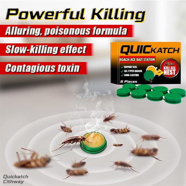 Quickatch™ Roach Ace Bait Station(🔥LAST DAY SALE-80% OFF🔥)